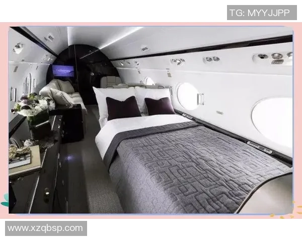 足球明星的奢华生活揭秘私人飞机背后的故事与魅力